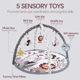 Alivio Baby Play Mat Soft Fabric for Infant & Newborn Activity Playmat Gym