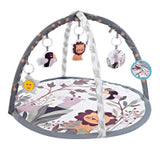 Alivio Baby Play Mat Soft Fabric for Infant & Newborn Activity Playmat Gym