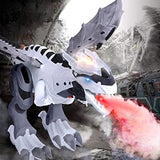Coosmo Walking Dinosaur Mechanical Spray Electric Toy Fire Breathing Water Spray Dragon